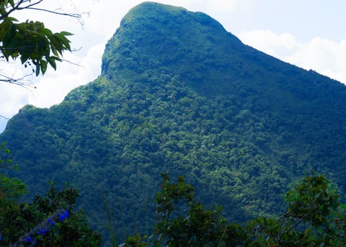 Cerro de la Silla