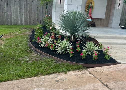Tropical Gardens Nursery