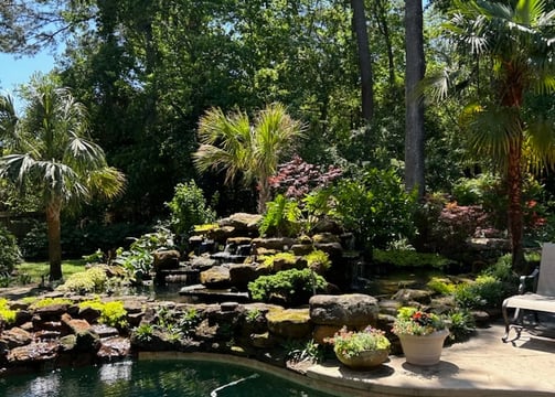 Tropical Gardens Nursery