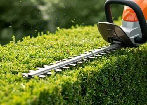 Zastřihování živého plotu.