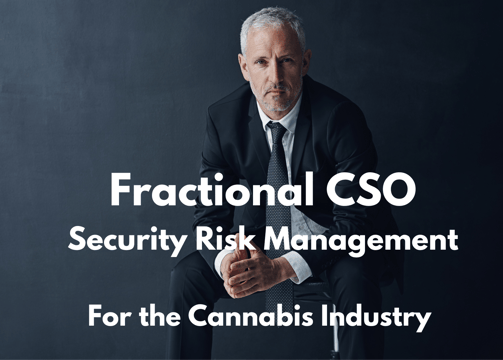 Fractional Chief Security Officer