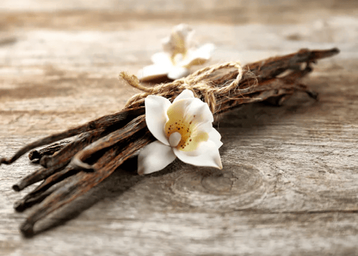 Fair-trade gourmet vanilla bean pods from Uganda, Africa 