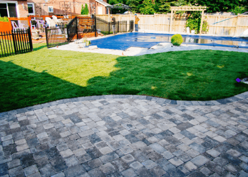 a backyard pool with a pool and a dog