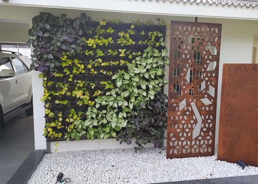 Fresh and vibrant vertical garden installation on a wall by Garden Designers