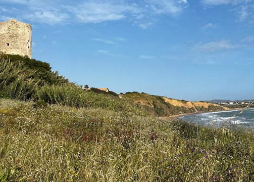 Beach torre di gaffe , coliving digital nomads