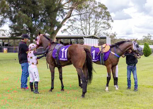 Horses being unsaddled after a race at Nanango
