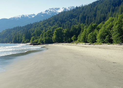 Plage de l’Île de Vancouver en été, sable fin, forêt verdoyante, montagnes enneigées, océan calme,