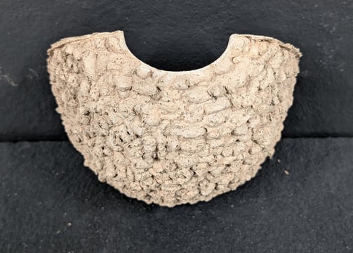 single House Martin nest cup by Nest Cup Box