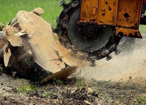 Stump Grinding