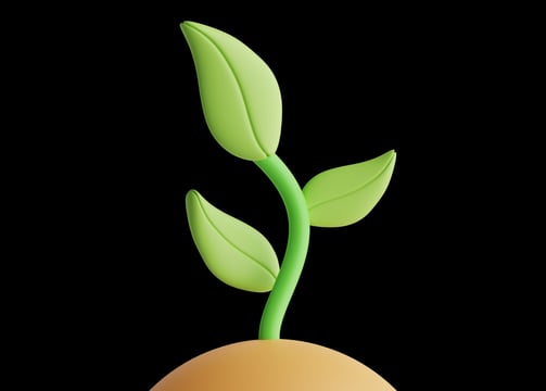 a plant growing out of a potted plant
