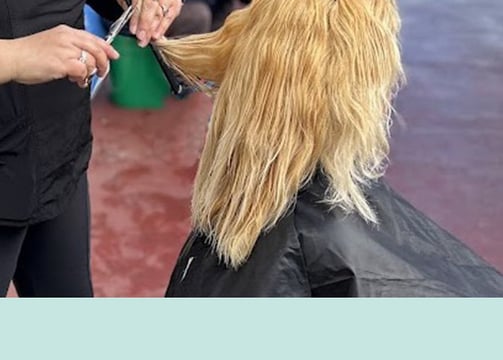 Blonde woman receiving a hair trim, seated in a chair with a stylist behind her.