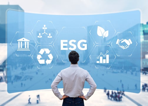 ESG consulting services