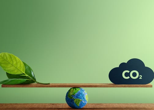 Net-zero roadmap