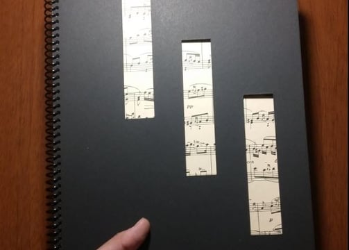 a person holding a book with music notes on it