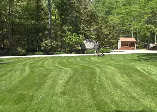 A person using a lawnmower to keep the land in good shape
