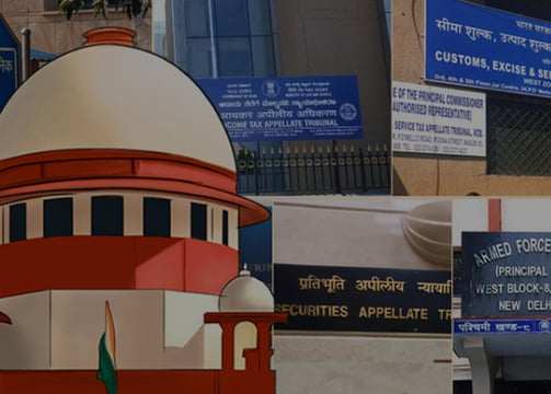 Court & Tribunal Representation