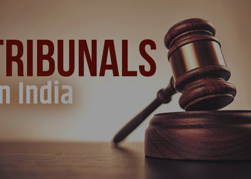 Court & Tribunal Representation