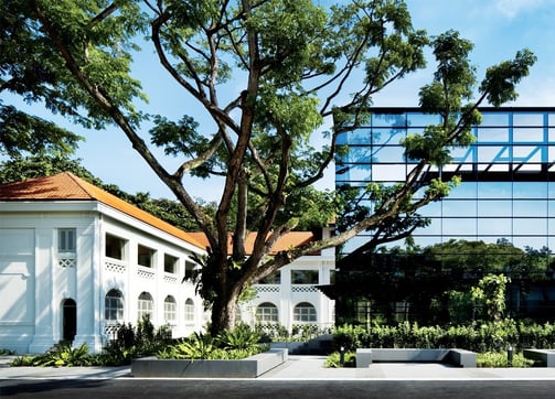 a large tree in front of a building