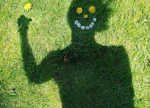 Hintergrund mit Blumen, passend zu Psychotherapie-Anfragen in Celle.
