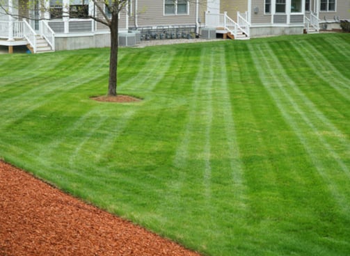 Lawn care