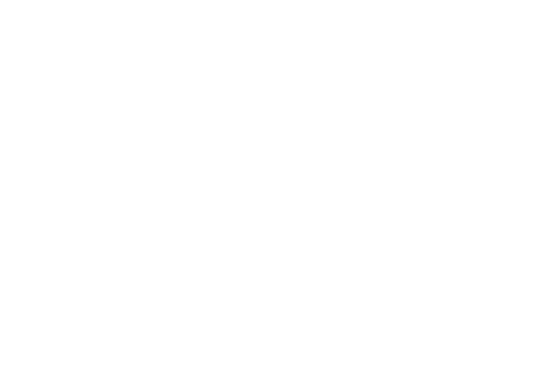 SIS Logo -Qi Team