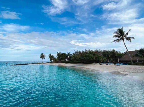 Plage de Huahine avec des cocotiers, en Polynésie française.