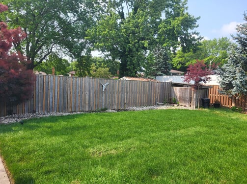 backyard with fresh sod after pool removal