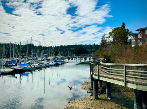 a dock with boats and a bird on the water