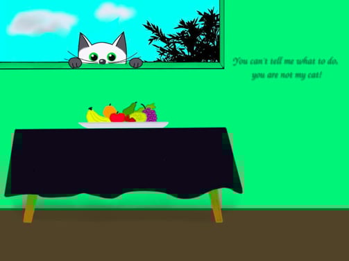 cat looking through a window at a bowl statment:you can't tell me what to do you are not my cat!