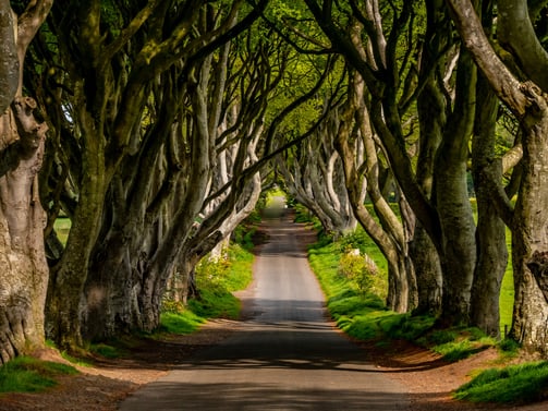 HR Consultancy in Antrim Provided by Kmarc Consulting