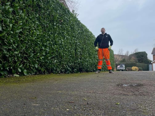 hedge in pershore trimmed by that garden guy