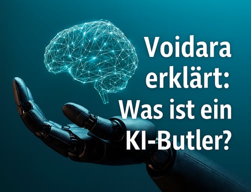 Voidara erklört in 17 Minuten
