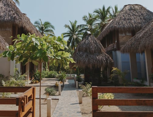 Gato Surf houses, houses premium in La Saladita