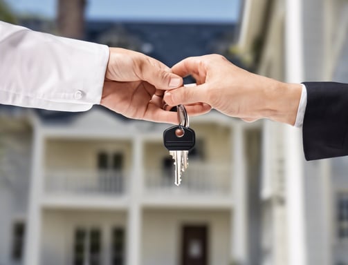 a tree branch with green leaves against a blue sky