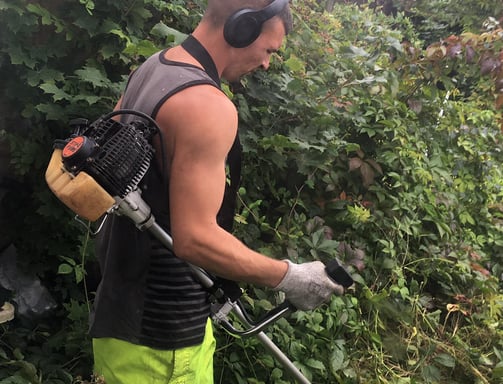 member of staff at that garden guy strimming a hedge