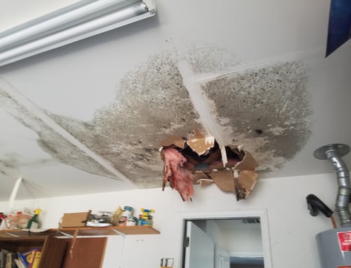 roof leak with mold