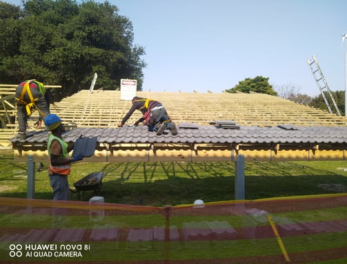bornfreeconstruction