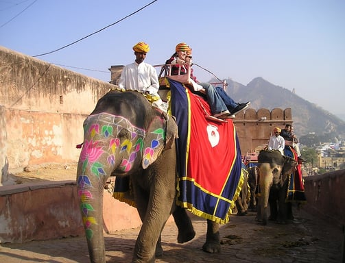 Experiecing Elephant Ride at Amber Fort Jaipur. 