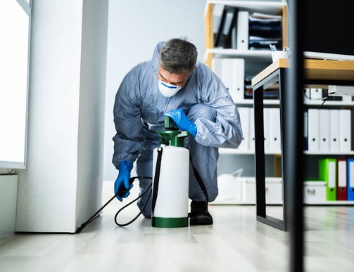 pest control