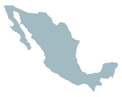 Empresa 100% mexicana