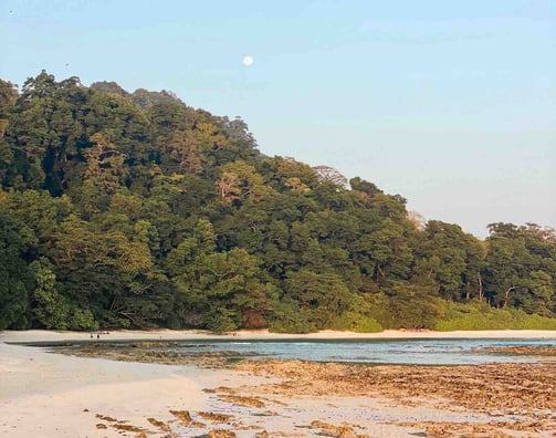 Scenic bay with lush vegetation in the background during sunset on Havelock Island, Andaman Islands, India.