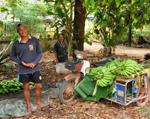 Sawi, Chumphon, dans les terres