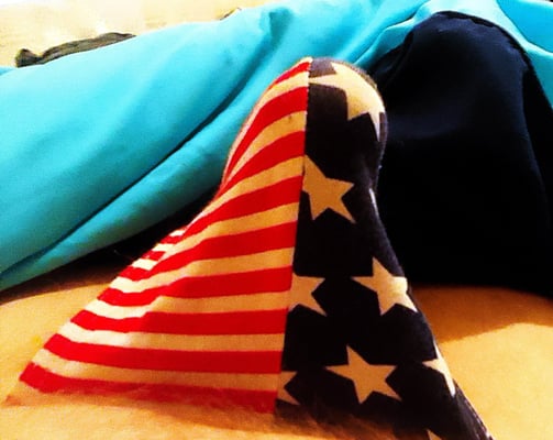 an erect penis in US flag underwear