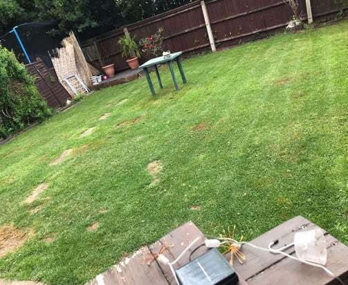 garden lawn in malvern freshly cut by that garden guy