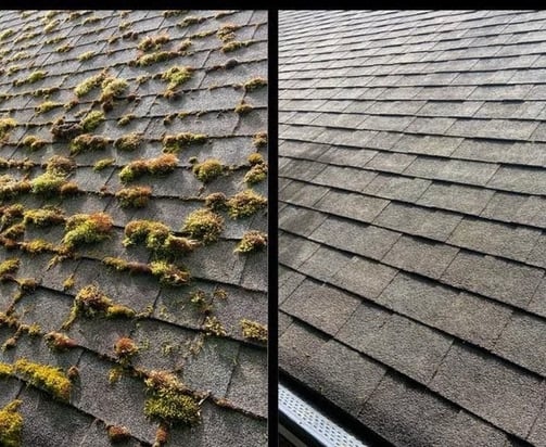 ROOF MOSS REMOVAL MEDFORD OREGON