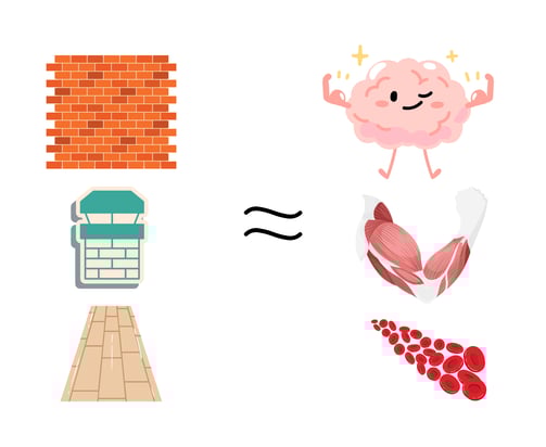 a brain, muscles, blood, wall, chimney and floor