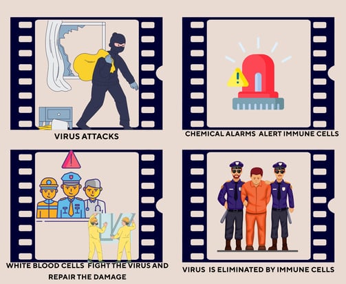 a set of four pictures of an emergency response after a break in
