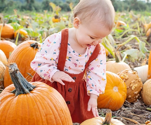 Activités pour les bébés en extérieur