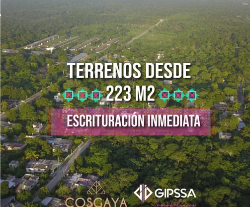 Cosgaya merida