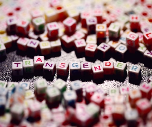 Transgender; Scrabble; Transgenero